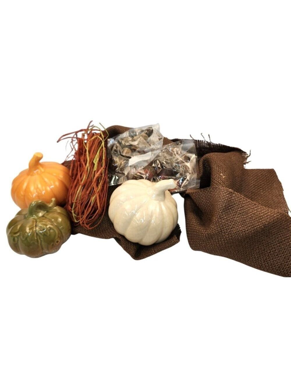 Ceramic Mini Pumpkin Decor Set W/Burlap Fall Holiday Table Centerpiece Craft Kit